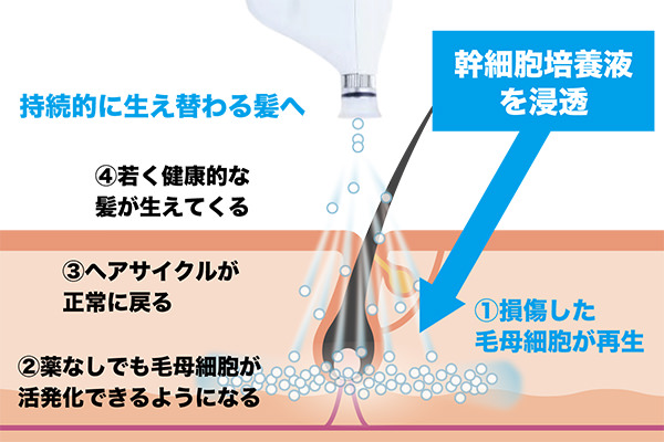 d7a2666a70be70047fd727549a6acea8 - 【Step'sプログラム】パンフレット