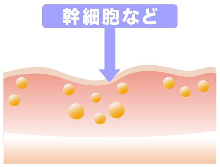 ec4252cf3ff90fd550e2c213878f0a91 - 【Step'sプログラム】パンフレット